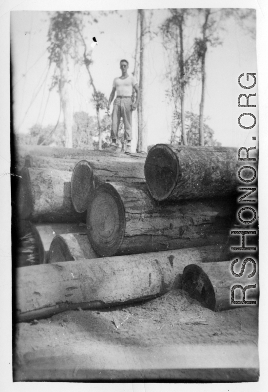 797th Engineer Forestry Company in Burma, loading logs for milling for bridge building along the Burma Road. GI stands on log pile.  During WWII.