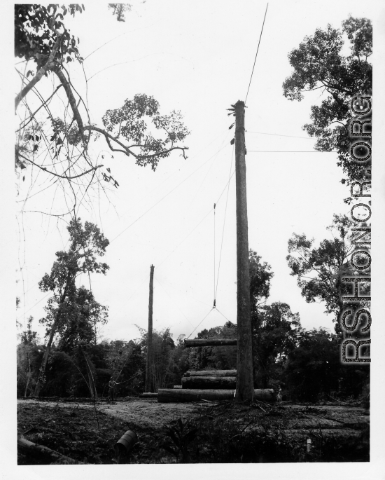 GIs moving logs using spar tree in Burma.  During WWII.  797th Engineer Forestry Company.