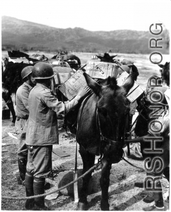 10CU 2nd T.C. Air Supply Sec. Loading supplies onto a mule. One box says in contains cans of string beans.