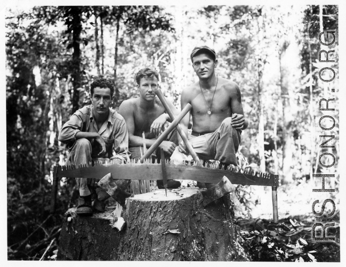 Engineers of the 797th Engineer Forestry Company pose with sawed stump in Burma.  During WWII.