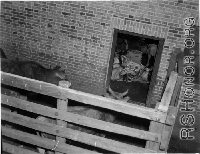 Inspection and operations at a beef slaughterhouse at Yangkai, set up specifically to provide meat for base personnel. During WWII.