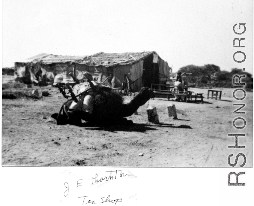 A camel in front of a "tea shop" in northern China. In the CBI during WWII.  Photo from J. E. Thornton.