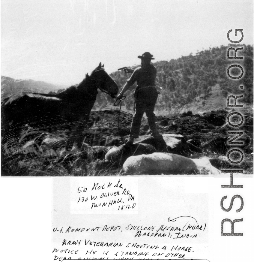 Army veterinarian shooting a horse. Notice he is standing on dead horses. Veterinary Service Remount Depot, Shillong, Assam, India. During WWII.  Photo from Ed Rock, Sr.