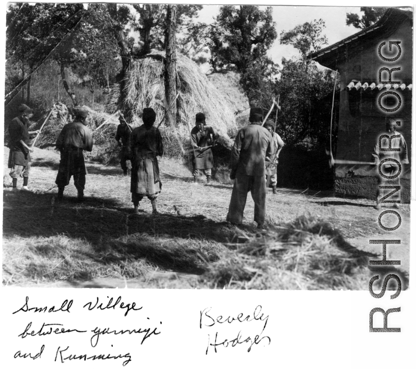 Chinese farmers thresh grain in a small village between Yunnanyi and Kunming, during WWII.  Photo from Beverly Hodges.