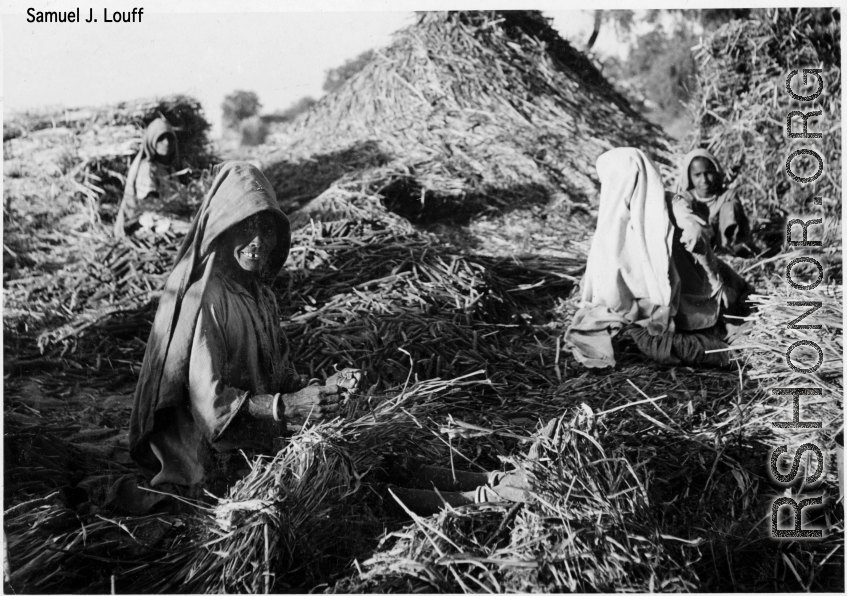 Farm women in India work among piles of straw during WWII.