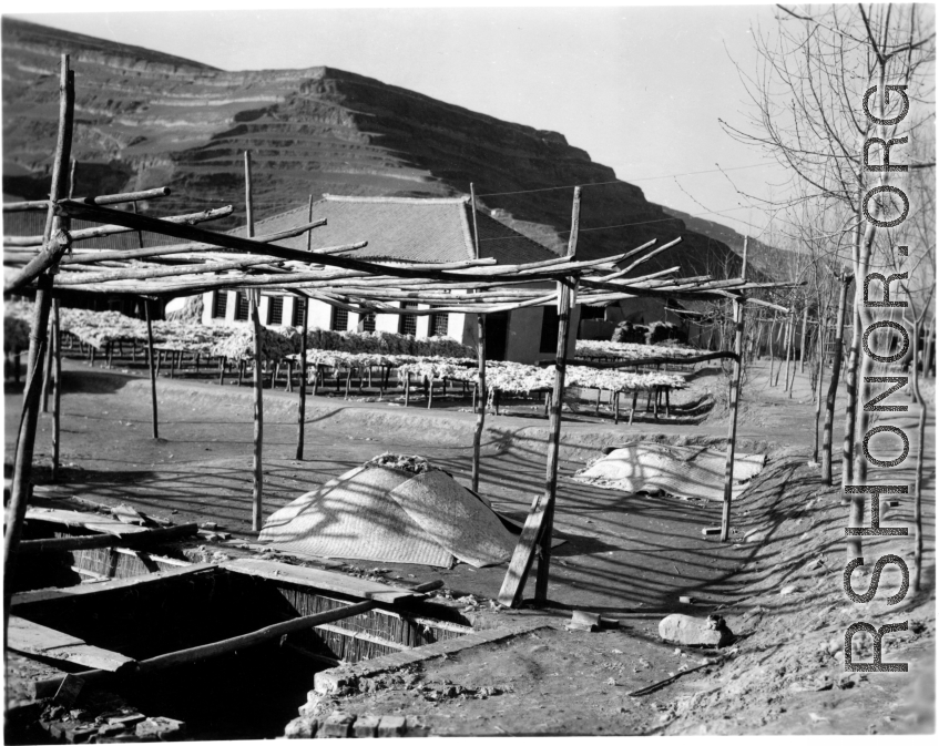 Wool drying at a farm in northern China, in a loess soil region. During WWII.  Image provided by Dorothy Yuen Leuba.
