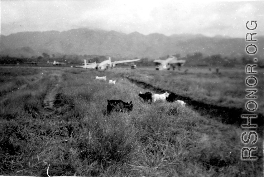 "This Is A View Of Our Salvage Area At Liangshan,China. The Goats In The Picture Were A Problem And Almost Got Ralph O'Connor Court Martialed."