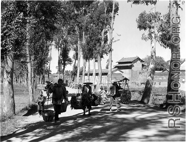 Farmers carry goods---vegetables---on shoulder poles, near Kunming, China, during WWII.