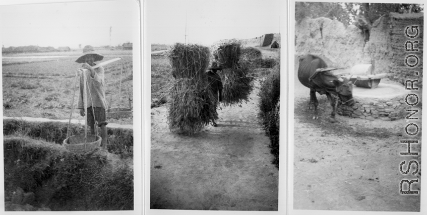 Farm life at Hanzhong, during WWII. Note the old town wall in the distance in the second image.