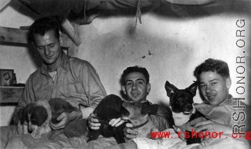 Unknown, Joseph Siana, and Jacob E. Rosencrantz with puppies on bunk in barracks, probably at Yangkai.