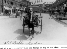 Native horse-drawn surrey cart in Old Delhi, India.  Photo from Walt Johnson.