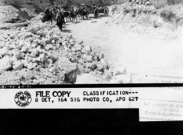 "Ten mule teams keep the caissons rolling along on this Burma Road as they draw this heavy Chinese howitzer to the battlefront at Lungling, Yunnan, China." During WWII. September 9, 1944.  Photo from Sydney L. Greenberg, 164th Signal Photographic Company.