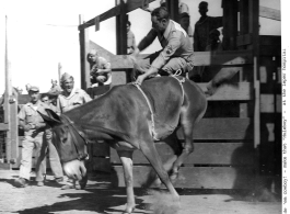 GI rides a jumping mule in a benefit rodeo for a leper hospital, Karachi, India, 1943.  Photo from William Bowman.