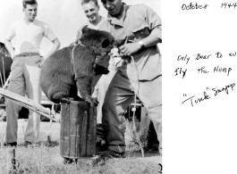 "The only bear to ever fly The Hump." Chabua, India, 1944.  Photo from "Tink" Snapp.