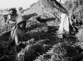 Farm women in India work among piles of straw during WWII.