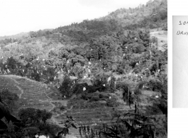 Airdrop parachutes in trees in SW China or Burma during WWII.  This one of a set of images provided by Lt. Col. Charles E. Mason