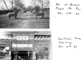 Nanjing: Avenue Of Animals on November 17th, 1945, and Confucian Temple, November 15th, 1945.