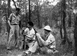 GIs adventuring among pines at Yangkai air base during WWII.