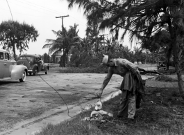A GI inspects a fish driven ashore by wind and water, most likely in Florida (based on apparent Florida license plate), during WWII.