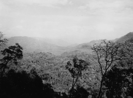 Densely forested hills in Burma, just waiting for the axe.  During WWII.  797th Engineer Forestry Company.