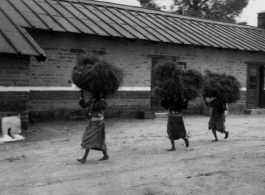Local women shoulder large bundles of brush at the American military Darjeeling Rest Camp, Darjeeling, India, during WWII.