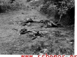 'Unidentified remains in a field.'  Southwest of Liuchow, fighters of the Fourteenth Air Force caught a cavalry column headed towards Liuchow. Japanese did not have time to bury their dead and the remains of horses and horsemen lay scattered throughout the valley.