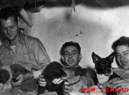 Unknown, Joseph Siana, and Jacob E. Rosencrantz with puppies on bunk in barracks, probably at Yangkai.