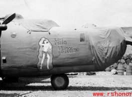 The B-24 "Hilo Hattie" in the CBI, with revetment visible behind.