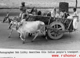 Cow cart in India during WWII.  Photo from Bob Lichty.
