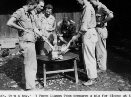 Y-Force Liaison Team prepares a pig for dinner at the 4th of July celebration, 1944, near Pingka Ridge, Burma, during the Salween River Campaign.  Photo by Syd Greenberg.