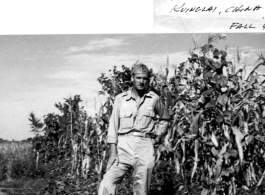 Lt. Clarence M. Miller in Cornfield near base A-5 Kuinglai China. Fall, 1944.  Photo from Clarence M. Miller.
