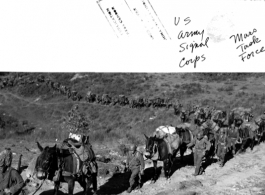 GIs and heavily loaded mule train of the Mars Task Force wending through the hills in the CBI.  U. S. Army Signal Corps photo.