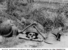 "Buried Japanese soldiers dug up by wild animals in the foothills outside Imphal, Assam, 1944."  Photo from Harold Tibbs.