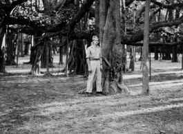 James Cope stands under extensive Banyan tree in Calcutta during WWII.