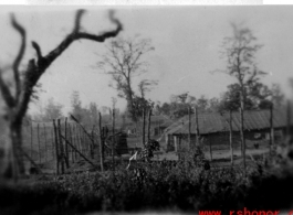 Japanese stockade at Myitkyina, Burma, during WWII.