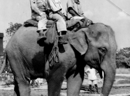 Elephant ride in India during WWII.  Photo from Irvin Persky.
