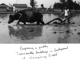 A Chinese farmer plows at rice paddy at Hsinching during WWII, with station transmitter buildings in the background.  Photo from Ed. C. Schaefer.