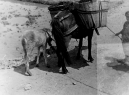 Rural scenes in China during WWII.