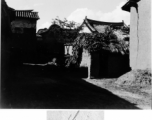 Scenes from China during WWII--Village across the fields, village corner, and canal.
