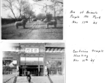 Nanjing: Avenue Of Animals on November 17th, 1945, and Confucian Temple, November 15th, 1945.