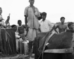 Local men with a mule-drawn train cart in India during WWII.    From the collection of David Firman, 61st Air Service Group.