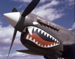 Nose of P-40 fighter 'Dene-a-mite' P-40 in China during WWII, probably in Yunnan province.