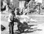 Villages threshing rice in the first village, on way to Yangkai, China 1944. During WWII.