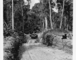 797th Engineer Forestry Company in Burma, hauling logs for milling for bridge building along the Burma Road.  During WWII.