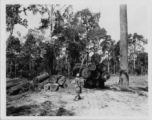 797th Engineer Forestry Company in Burma, loading logs for milling for bridge building along the Burma Road.  During WWII.