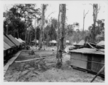 A tent camp of the 797th Engineer Forestry Company in Burma.  During WWII.