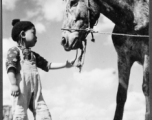 Chinese boy with horse at Chanyi (Zhanyi), during WWII.