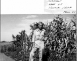 Lt. Clarence M. Miller in Cornfield near base A-5 Kuinglai China. Fall, 1944.  Photo from Clarence M. Miller.