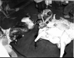 Chinese staff at a beef slaughterhouse at Yangkai, set up specifically to provide meat for base personnel. During WWII.
