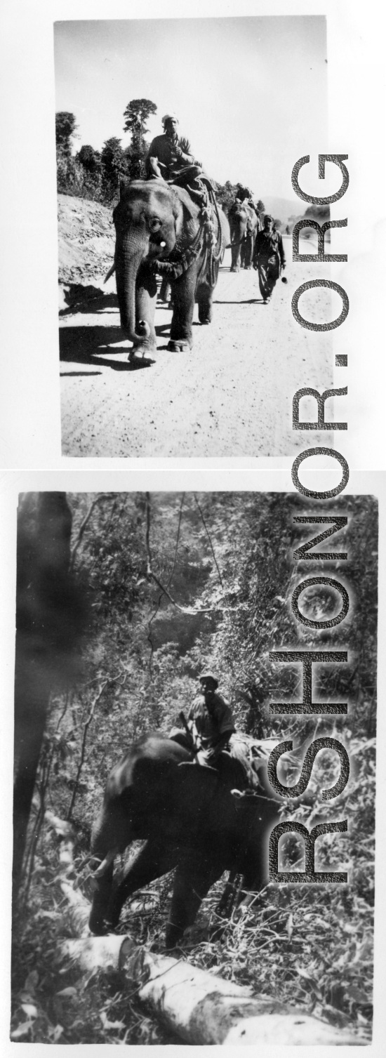 Local people in Burma near the 797th Engineer Forestry Company--men riding elephants, assisting in logging in some cases.  During WWII.